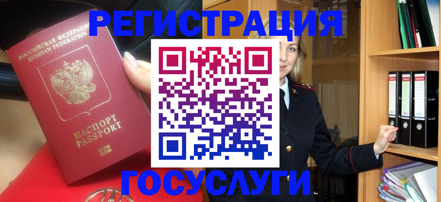 прописка поиск в Курской области